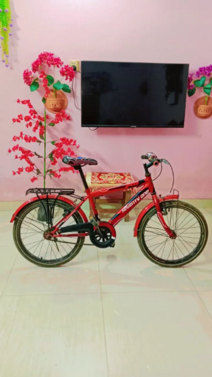 Read কালার একটি সাইকেল বিক্রি করা হবে।