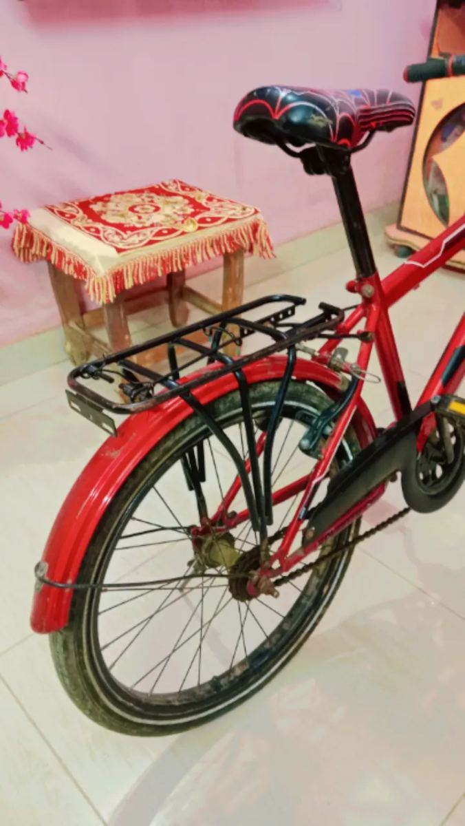 Read কালার একটি সাইকেল বিক্রি করা হবে।