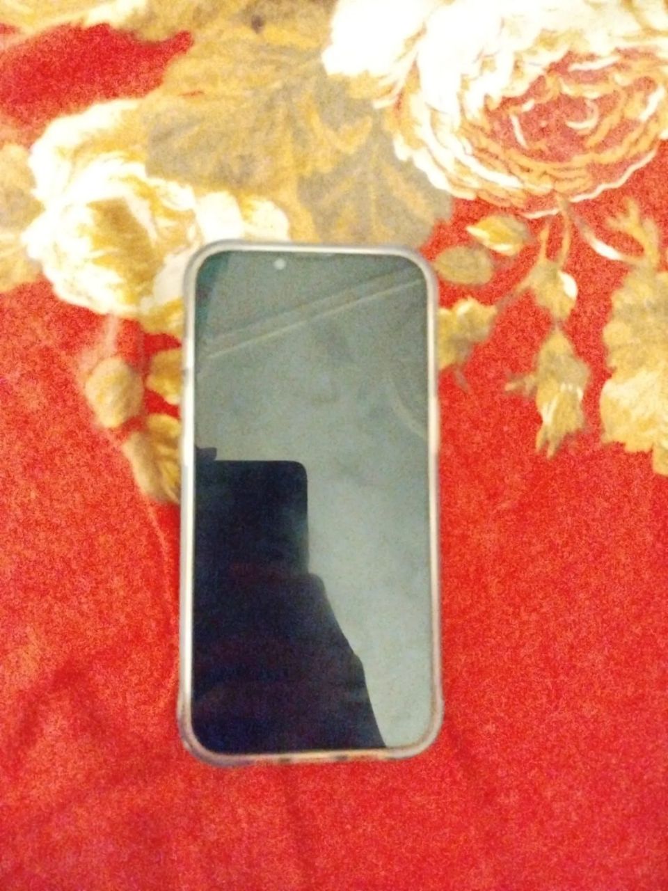 I phone 13pro